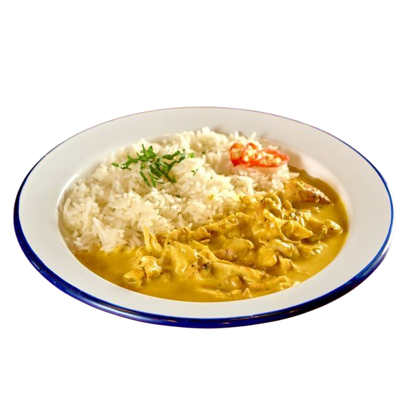 caril-de-frango-desfiado